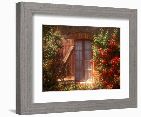 House with Summer Roses in Bloom, Vaucluse, France-Walter Bibikow-Framed Photographic Print