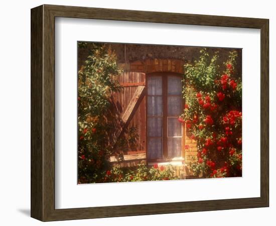 House with Summer Roses in Bloom, Vaucluse, France-Walter Bibikow-Framed Photographic Print