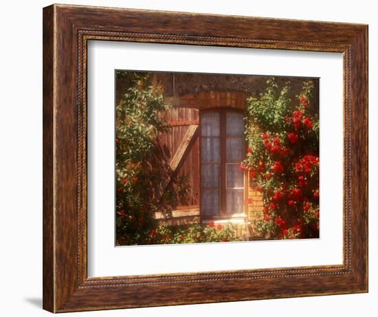 House with Summer Roses in Bloom, Vaucluse, France-Walter Bibikow-Framed Photographic Print