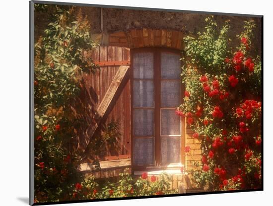 House with Summer Roses in Bloom, Vaucluse, France-Walter Bibikow-Mounted Photographic Print