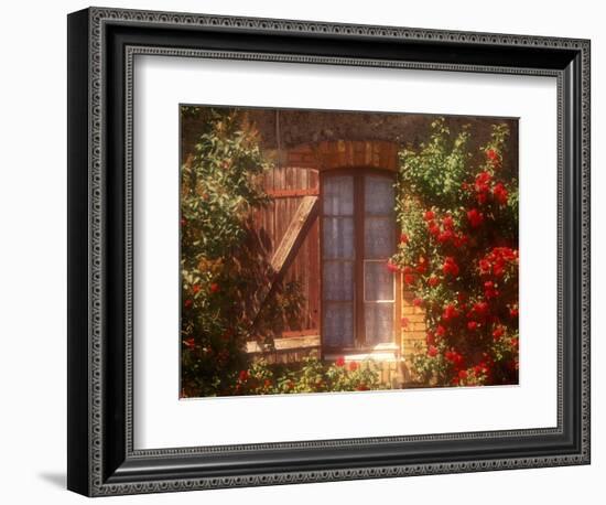 House with Summer Roses in Bloom, Vaucluse, France-Walter Bibikow-Framed Photographic Print