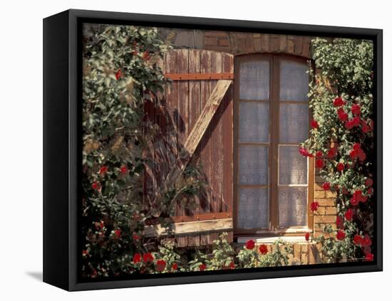 House with Summer Roses, Vaucluse, France-Walter Bibikow-Framed Premier Image Canvas