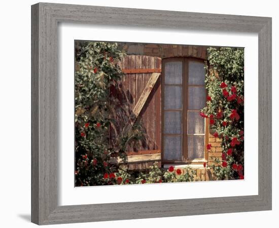 House with Summer Roses, Vaucluse, France-Walter Bibikow-Framed Photographic Print