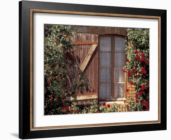 House with Summer Roses, Vaucluse, France-Walter Bibikow-Framed Photographic Print