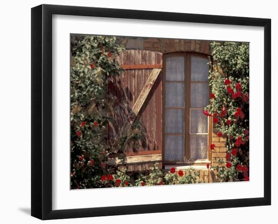 House with Summer Roses, Vaucluse, France-Walter Bibikow-Framed Photographic Print