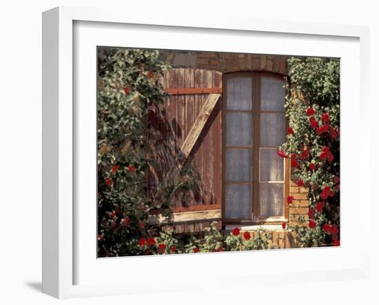 House with Summer Roses, Vaucluse, France-Walter Bibikow-Framed Photographic Print