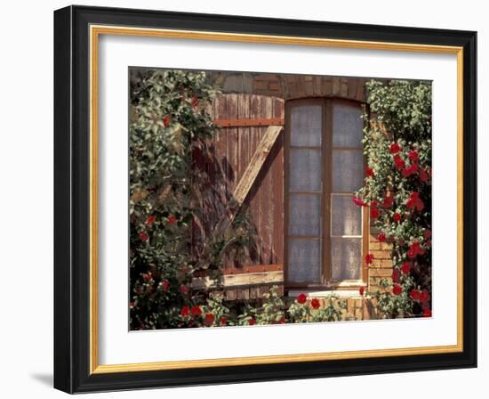 House with Summer Roses, Vaucluse, France-Walter Bibikow-Framed Photographic Print