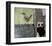 House Wren-Jan Martin McGuire-Framed Art Print