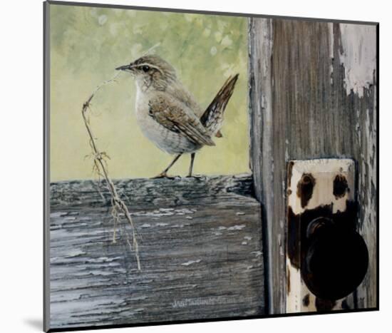 House Wren-Jan Martin McGuire-Mounted Art Print