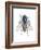 Housefly (Musca Domestica), Insects-Encyclopaedia Britannica-Framed Art Print