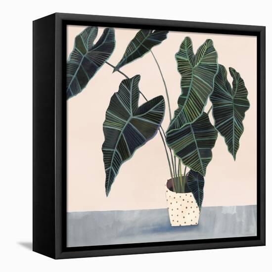 Houseplant II-null-Framed Stretched Canvas