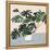 Houseplant III-null-Framed Stretched Canvas