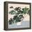 Houseplant III-null-Framed Stretched Canvas