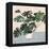 Houseplant III-null-Framed Stretched Canvas