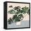 Houseplant III-null-Framed Stretched Canvas