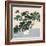 Houseplant III-null-Framed Art Print