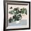 Houseplant III-null-Framed Art Print