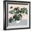 Houseplant III-null-Framed Art Print