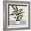 Houseplant IV-null-Framed Art Print