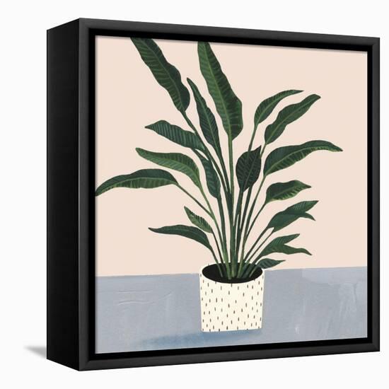 Houseplant IV-null-Framed Stretched Canvas