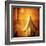 Houses 1-Ursula Abresch-Framed Premium Photographic Print