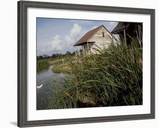 Houses Along the Louisiana Bayou are Seen-null-Framed Photographic Print