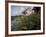 Houses Along the Louisiana Bayou are Seen-null-Framed Photographic Print