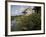 Houses Along the Louisiana Bayou are Seen-null-Framed Photographic Print