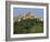 Houses and Church of an Ancient Wine Town on a Hill at Loreto Aprutino in Abruzzi, Italy, Europe-Newton Michael-Framed Photographic Print