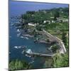 Houses and Rocky Coastline in the South of the Island of Sao Miguel in the Azores, Portugal-David Lomax-Mounted Photographic Print