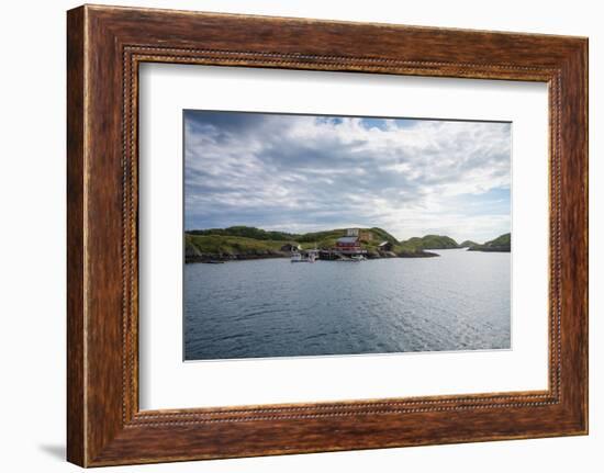 Houses and Small Harbor on Island in Northern Norway-Lamarinx-Framed Photographic Print