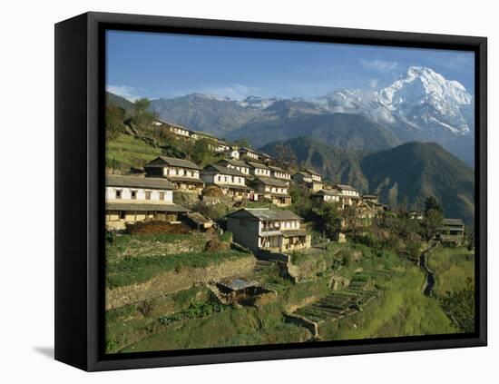 Houses and Terraced Fields at Gurung Village, Ghandrung, with Annapurna South, Himalayas, Nepal-Waltham Tony-Framed Premier Image Canvas