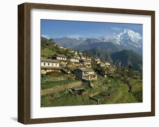 Houses and Terraced Fields at Gurung Village, Ghandrung, with Annapurna South, Himalayas, Nepal-Waltham Tony-Framed Photographic Print