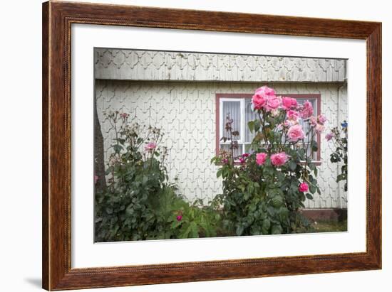 Houses Built of Wooden Tiles, Island of Chiloe, Chile-Peter Groenendijk-Framed Photographic Print