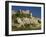 Houses, Church and Old Walls at Montbrun Les Bains in Drome, Rhone-Alpes, France, Europe-Michael Busselle-Framed Photographic Print