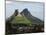 Houses, Floreal, Mauritius-Anthony Asael-Mounted Photographic Print