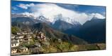 Photographic Print