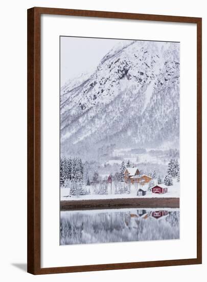 Houses in Fiskefjorden, Hinnoya (Island), Vesteralen, 'Nordland' (County), Norway-Rainer Mirau-Framed Photographic Print