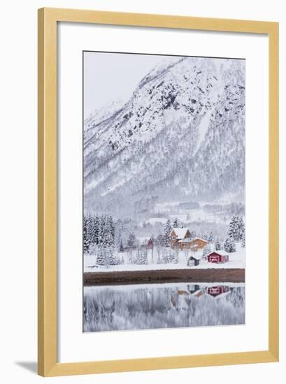 Houses in Fiskefjorden, Hinnoya (Island), Vesteralen, 'Nordland' (County), Norway-Rainer Mirau-Framed Photographic Print