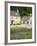 Houses Near the Brook, Castle Combe Village, Cotswolds, Wiltshire-Richard Cummins-Framed Photographic Print