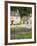 Houses Near the Brook, Castle Combe Village, Cotswolds, Wiltshire-Richard Cummins-Framed Photographic Print