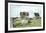 Houses Of Squam Light-Edward Hopper-Framed Art Print