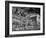 Houses on Beacon Street-Walter Sanders-Framed Photographic Print