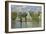 Houses on the Bank of the River Zaan, 1871/72-Claude Monet-Framed Giclee Print