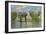 Houses on the Bank of the River Zaan, 1871/72-Claude Monet-Framed Giclee Print