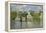 Houses on the Bank of the River Zaan, 1871/72-Claude Monet-Framed Premier Image Canvas