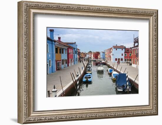 Houses on the waterfront, Burano, Venice, Veneto, Italy.-Nico Tondini-Framed Photographic Print