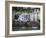 Houses on the Waters Edge in Fowey, Cornwall, England, United Kingdom, Europe-David Clapp-Framed Photographic Print