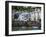 Houses on the Waters Edge in Fowey, Cornwall, England, United Kingdom, Europe-David Clapp-Framed Photographic Print