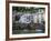 Houses on the Waters Edge in Fowey, Cornwall, England, United Kingdom, Europe-David Clapp-Framed Photographic Print